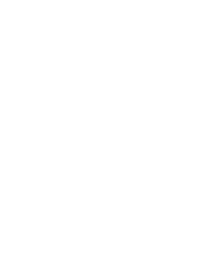 Silhouette de feuille de palmier
