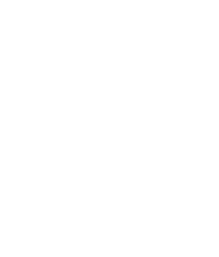 Silhouette d'une feuille de palmier